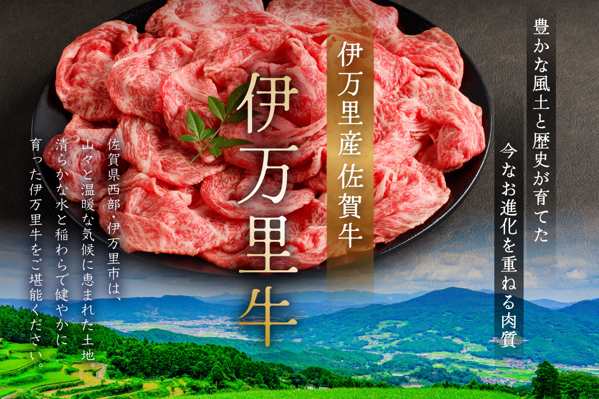 伊万里牛 A5 赤身 モモステーキ 500g 015-J458