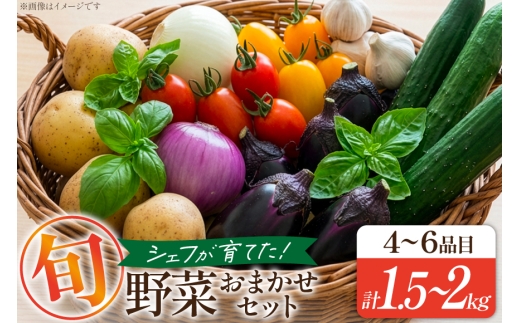 【期間限定発送】 野菜 旬のおまかせセット 4〜6品目 計1.5kg〜2kg [フルール・ドゥ・ソレイユ 山形県 高畠町 tk06blf150000] 野菜セット 詰め合わせ おまかせ セット 新鮮野菜 自家製 産地直送 厳選