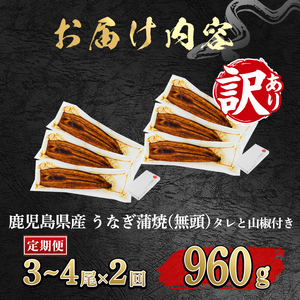 【0254308b】＜定期便・全2回＞【緊急支援品】＜訳あり＞鰻の蒲焼き(無頭)(3～4尾×2回・計約960g・タレ、山椒付) うなぎ ウナギ 鰻 国産 蒲焼 蒲焼き たれ 鹿児島 ふるさと 人気 支
