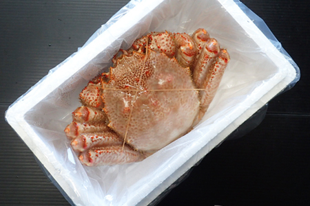ボイル毛がに900g～1.1kg×1尾 F-11029