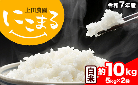 令和7年産 米 にこまる 約10kg (5kg×2袋) こめ コメ 白米 上田農園《10月中旬-11月中旬頃出荷》 熊本県 荒尾市 米 白米 こめ