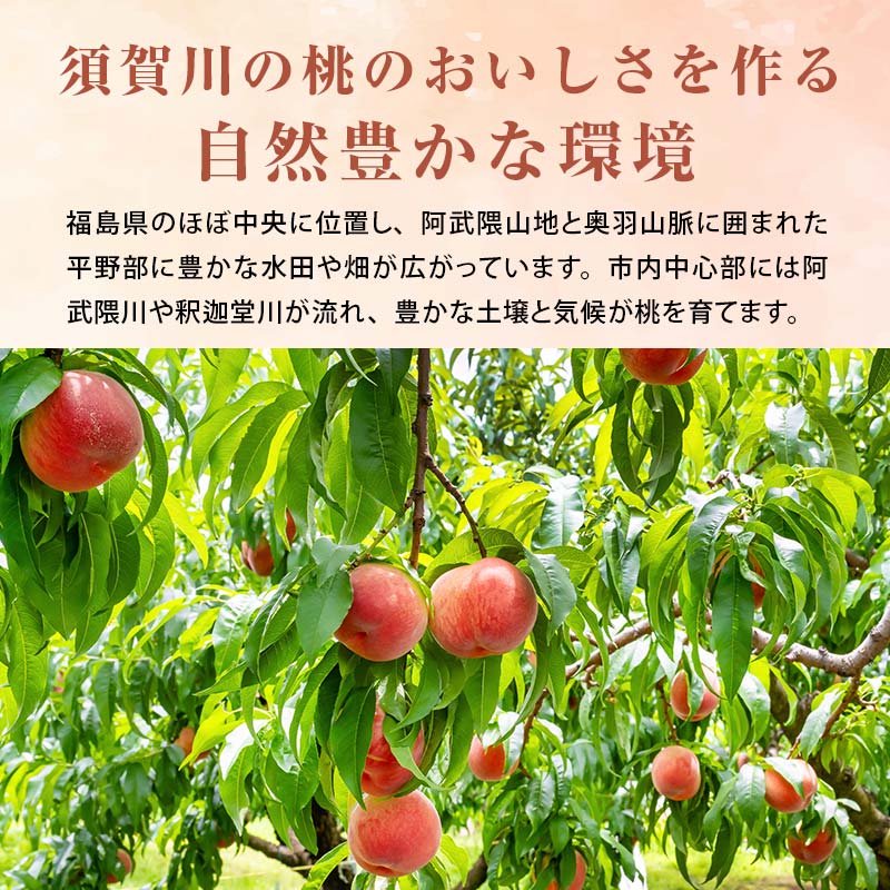 阿部農縁 福島県の桃 農家直送の完熟もも 品種おまか