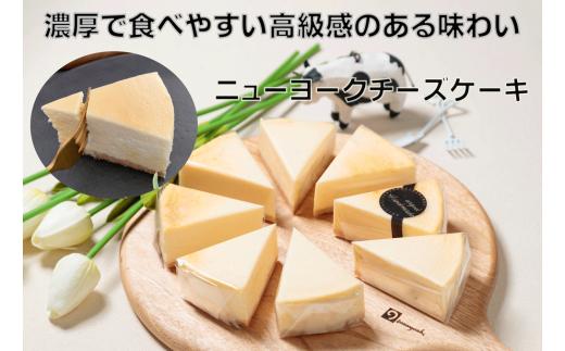 極上ニューヨークチーズケーキ(0048)
