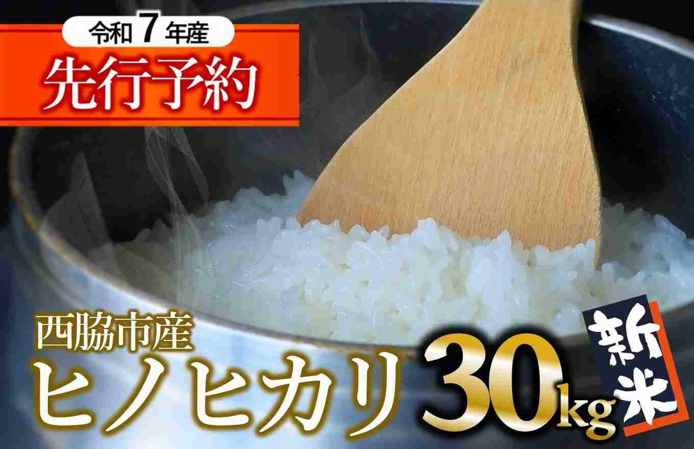 
            【新米先行予約】ヒノヒカリ 30kg 白米 令和７年産 (90-11) 米 お米 こめ コメ ヒノヒカリ ひのひかり 人気 白米 兵庫県産 30kg 精米
          