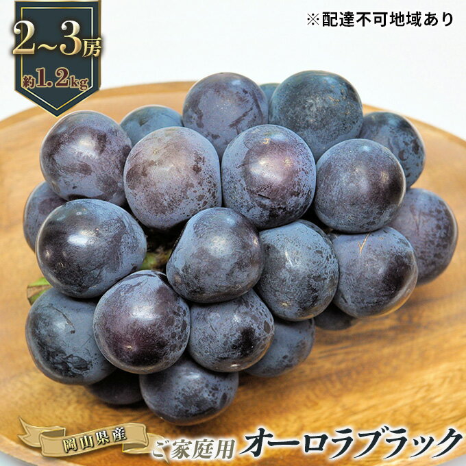 【ふるさと納税】ぶどう 2026年 先行予約 ご家庭用 オーロラブラック 2〜3房 合計約1.2kg ブドウ 葡萄 岡山県産 国産 フルーツ 果物 ギフト 岡山県 瀬戸内市 お届け：2026年8月下旬〜2026年9月下旬