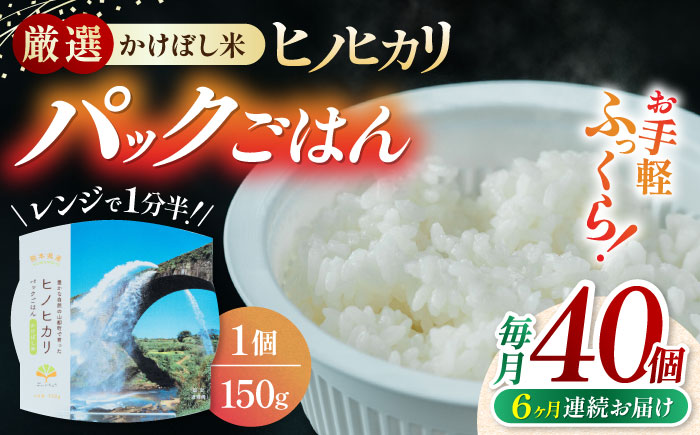 【全6回定期便】 【数量限定】いちょうの畑 パックご飯 ヒノヒカリ 150ｇ×40パック 【農事組合法人いちょう】 [YDN007]