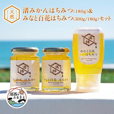 ふるさと納税 湖西市 浜名湖ほとり 渚みかんはちみつ・みなと百花はちみつ 各180g・みなと百花はちみつ 300g　3本