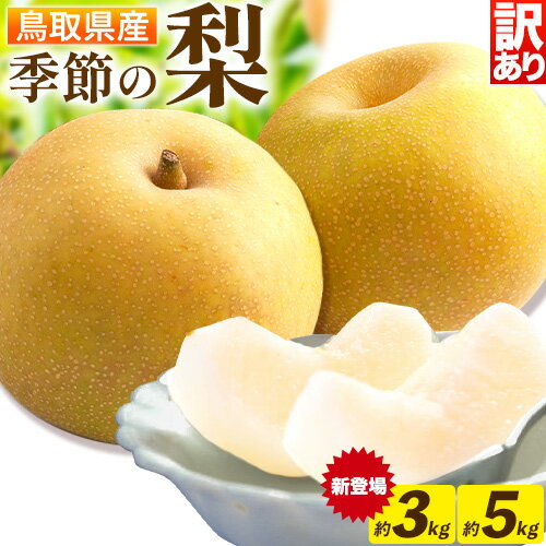 【先行予約】【ふるさと納税】数量限定【ご家庭用】季節の梨 約5kg 旬の品種を1品種お届け《10月上旬-12月中旬頃出荷(土日祝除く)》梨 訳あり 旬 鳥取県 八頭町 なし 果物 フルーツ 特産品 送料無料 果汁 デザート 秋栄 秋甘泉 新興梨 王秋 大容量