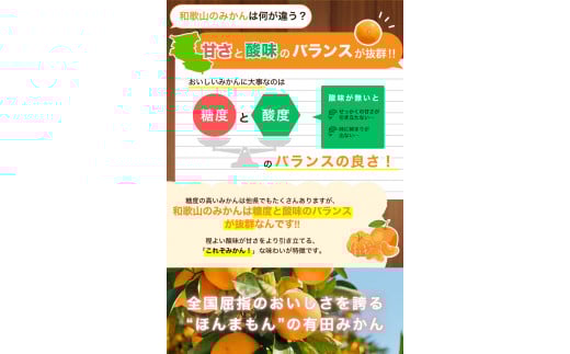 【2025年11月発送予約分】＼光センサー選別／ 【農家直送】【家庭用】こだわりの有田みかん 約6kg＋250g(傷み補償分) 先行予約 有機質肥料100% サイズ混合 【11月発送】みかん ミカン 