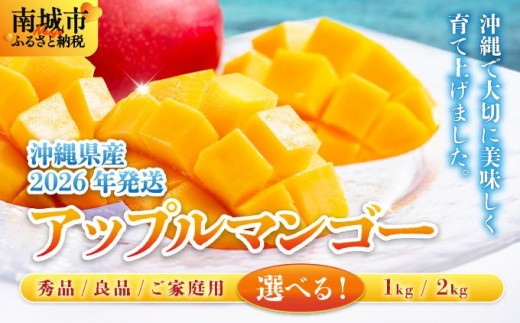 
                  【先行予約・数量限定】＜選べる等級・容量＞アップルマンゴー 1kg～2kg   I  アップルマンゴー あっぷるまんごー マンゴー まんごー フルーツ 完熟 マンゴー 秀品 良品 家庭用 訳あり 選べる  1kg 2kg   沖縄県 南城市 ふるさと納税
                
