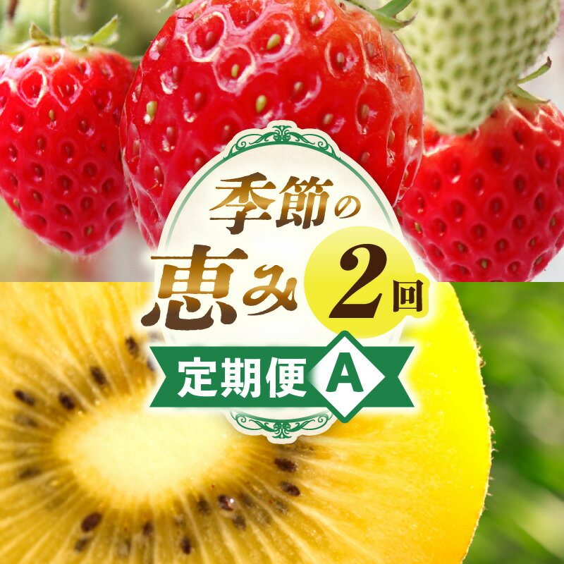 【ふるさと納税】季節の恵み2回定期便A 果物 フルーツ 定期便 フルーツ定期便 デザート スイーツ イチゴ ゴールドキウイ 青果物 キウイ 果物定期便 旬 旬の果物 ギフト グルメ ご褒美 贈り物 贈答 定期 人気 オススメ 厳選 お試し 香川県 三木町 送料無料