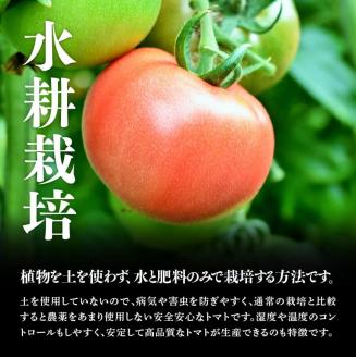 宮崎県産とまと・とこうさんのトマト1ｋｇ(9～18個)_宮崎県産とまと国産トマト九州産とまと川南町産トマトトマトとまと野菜ヘルシー野菜送料無料野菜[E6601]