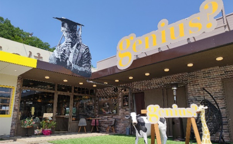 三田高原卵使用　チーズタルト(ホール)