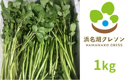 
                  浜名湖クレソン 1kg【配送不可：北海道・沖縄・離島】 朝採れ ハーブ 
                
