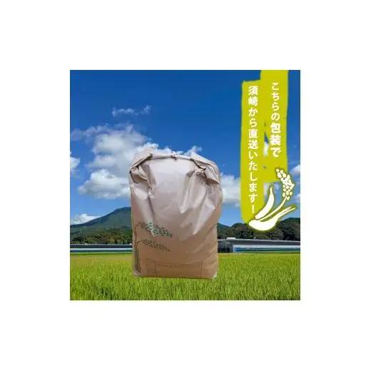 2026年 コシヒカリ 5Kg 産地直送 高知県産 白米 高知県 須崎市 SI002
