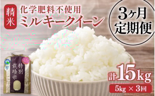 【先行予約】【令和7年産】定期便 ≪3ヶ月連続お届け≫ 化学肥料不使用 特別栽培米 ミルキークイーン 精米 5kg × 3回（合計15kg） / 白米 米 福井県あわら市産 美味しい 特別栽培米 減農薬 安心な米 旨味 甘み もっちり 冷蔵保管米 ※2025年10月上旬より順次発送 [aw010-c006]