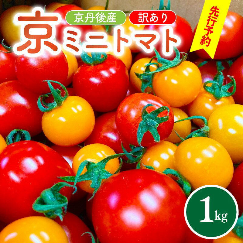 【ふるさと納税】【先行予約】訳あり・新鮮カラフルトマト／京丹後産・京ミニトマト 1kg（2026年5月中旬～発送） 野菜 ミニトマト 1キロ サラダ 色とりどり とまと 京野菜 ふるさと納税 トマト 不揃い ふぞろい わけあり 訳アリ ワケアリ 訳有り 1きろ tomato JA京都 農協
