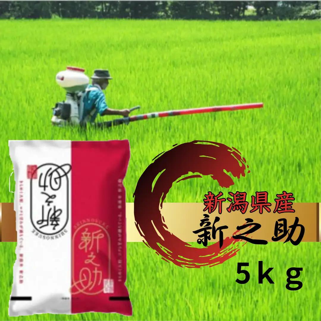 【令和8年産新米予約】阿賀野市産「新之助」5kg（5kg×1袋） 安田興和農事 白米 精米 生産者直送 新潟県 米 こめ コメ 新米 新米予約 令和8年産 10月下旬より順次発送予定 1W10013