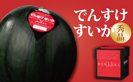 【北海道　高級すいか　ブランドすいか】　でんすけすいか秀品