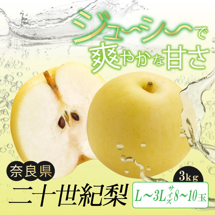 
                  G16 二十世紀梨 L ～ 3L サイズ 約3kg 8玉 ～ 10玉 | フルーツ 果物 くだもの 梨 二十世紀梨 奈良県 大淀町
                