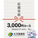 【ふるさと納税】【返礼品なし】久万高原町へのご寄附（3,000円）