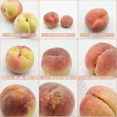 2026年発送 山梨市産 訳あり桃 約2kg(4〜8玉)【配送不可地域：離島】【1688049】