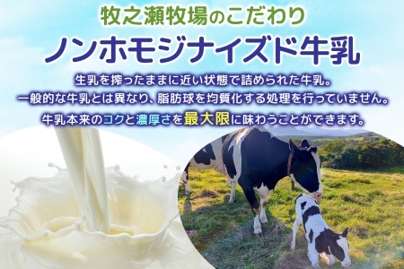 3455. 牧之瀬牧場 牛乳 900ml × 2本 牛乳 牛 乳 みるくミルク ノンホモジナイズド牛乳 ノンホモ 脂肪 放牧 濃厚 搾りたて 甘い クリーミー クリーム まろやか さっぱり 冷蔵 北海