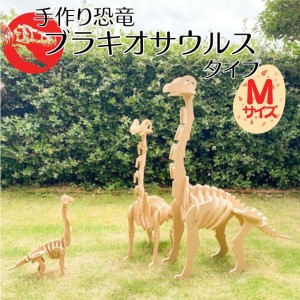 恐竜パズル 立体 恐竜のほねほねパズル ブラキオサウルス 恐竜パズル【Mサイズ】