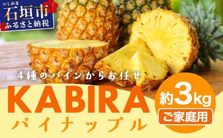 KABIRA パイナップル 訳あり 約3kg