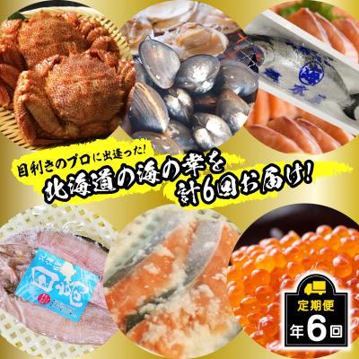 ふるさと納税 新ひだか町 &lt;2026年2月から順次発送&gt;【 定期便 6回 】北海道産 海の幸 定期便 &lt; 先行受付 &gt;