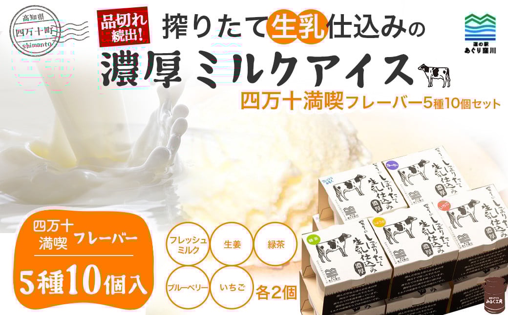 
            搾りたて 生乳 仕込みの濃厚 ミルクアイス 四万十満喫フレーバー（5種10個セット）Qak-35 アイスクリーム アイス アイスセット バニラアイス ブルーベリーアイス いちごアイス イチゴアイス しょうがアイス 生姜アイスアイス大容量 冷凍 人気 詰め合わせ セット
          