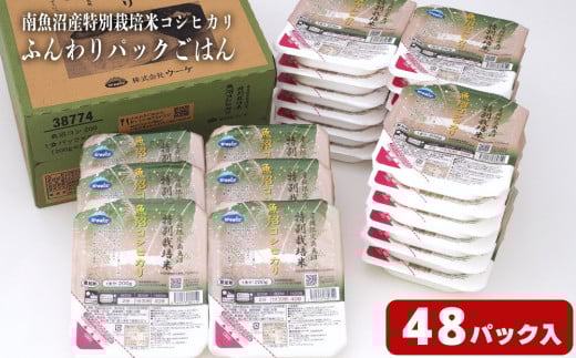早い!簡単!美味しい!ふんわりパックごはん200g×48パック（24パック×2箱）