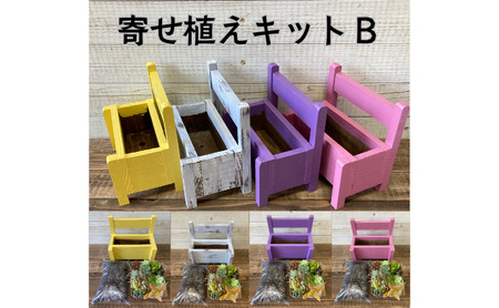 多肉植物 寄せ植えキットB ベンチ型プランター 多肉植物【全4色】 白色