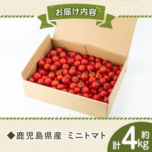 ＼12月21日まで年内配送／朝採れ ミニトマト4㎏！甘さと酸味の絶妙なバランス！鹿児島県産 トマト 新鮮 サラダ お弁当 ソース マリネ 年内配送 年内お届け【A-2023H】