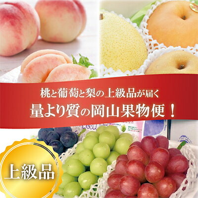 【ふるさと納税】【発送月固定定期便】量より質!桃と葡萄と梨の上級品が届く(岡山県産)全3回【配送不可地域：離島】【4013419】