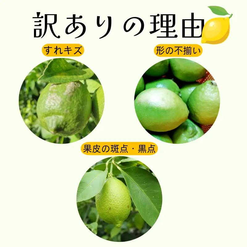 【2026年10月発送】 訳ありレモン 2kg 国産 レモン