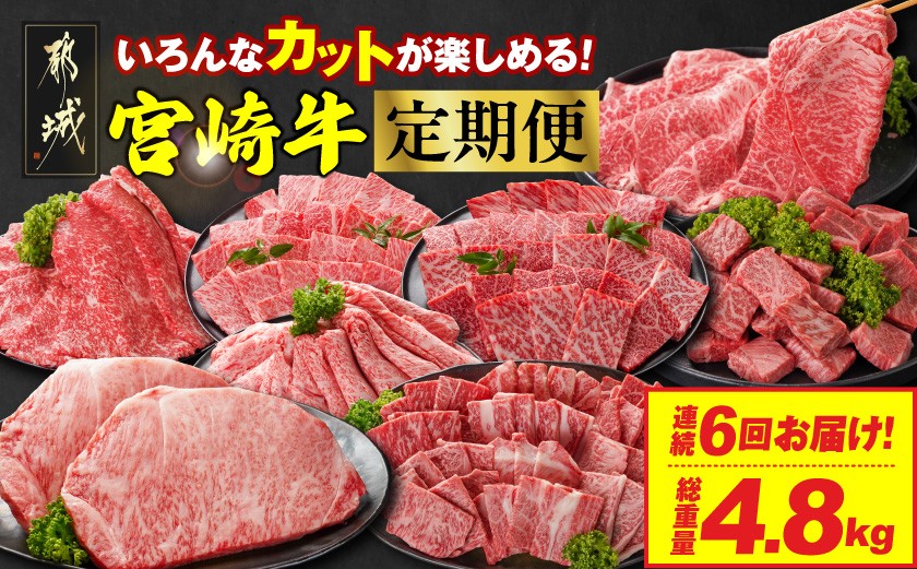 
            ≪6回連続お届け≫いろんなカットが楽しめる宮崎牛定期便M(総重量4.8kg)_T100-6-N201_(都城市)  宮崎牛 牛肉 肉 肩ロース ウデまたはモモ ロース 焼肉 すき焼き しゃぶしゃぶ ステーキ ミヤチク
          