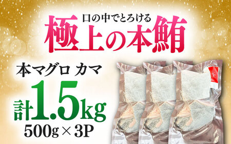 対馬産 本マグロ カマ 1.5kg ≪対馬市≫【桐谷商店】 トロの華 対馬 新鮮 マグロ かま 鮪[WAQ099]