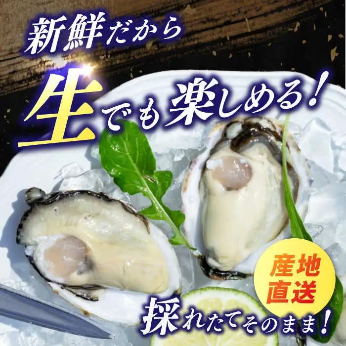 養殖カキ 約1.3kg [RCN001] 牡蠣 牡蠣 牡蠣 牡蠣 牡蠣 牡蠣九州 長崎 
