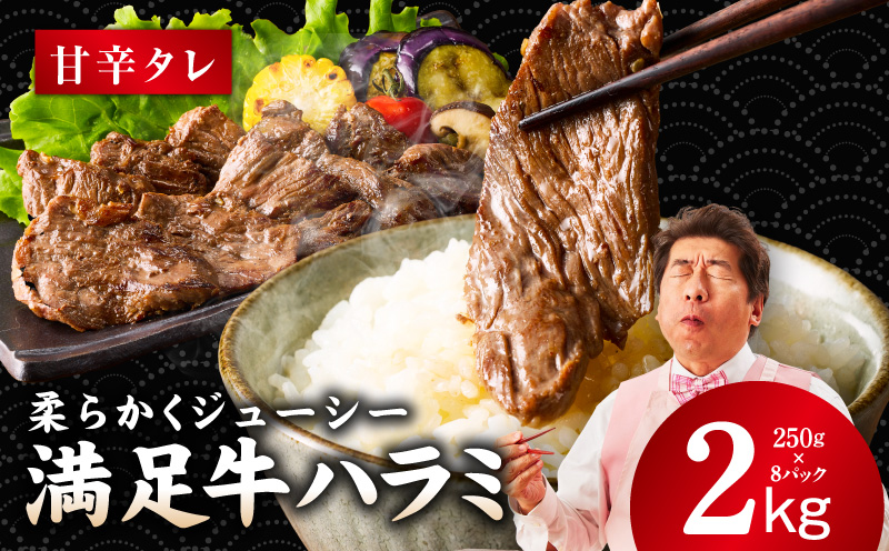 【満足牛ハラミ】甘辛タレ漬け 合計2kg 【味付け ハラミ 小分け 焼くだけ 簡単調理 BBQ 牛肉 250g×8P 普段使い 大阪 泉佐野 大阪府 泉佐野市】