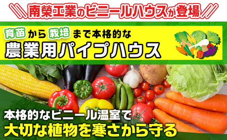 菜園ハウス【9.4坪用】〈H-4572〉_AS-J401_菜園ハウス 組み立て 組立説明書付き ビニール温室 スライド扉 農業 育苗 栽培 南榮工業