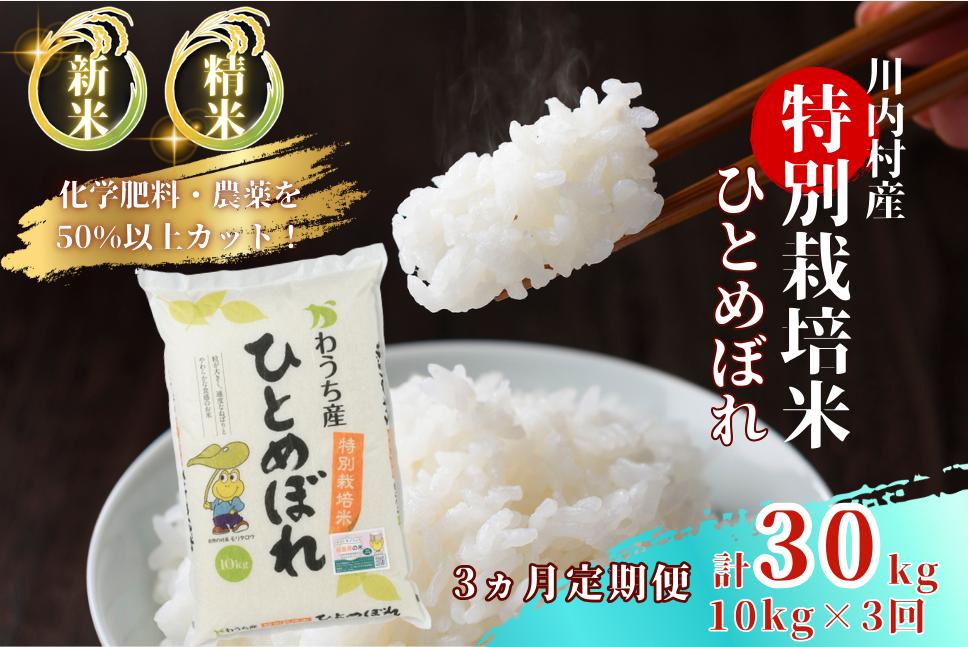 
                  【ふるさと納税】数量限定 【定期便3回】 特別栽培米 ひとめぼれ 10kg×3ヵ月 （令和7年度かわうち産）
                