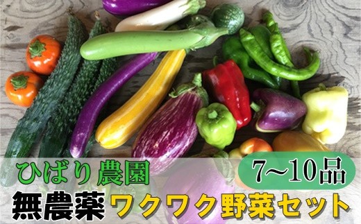 ひばり農園の無農薬ワクワク野菜セット  【289】