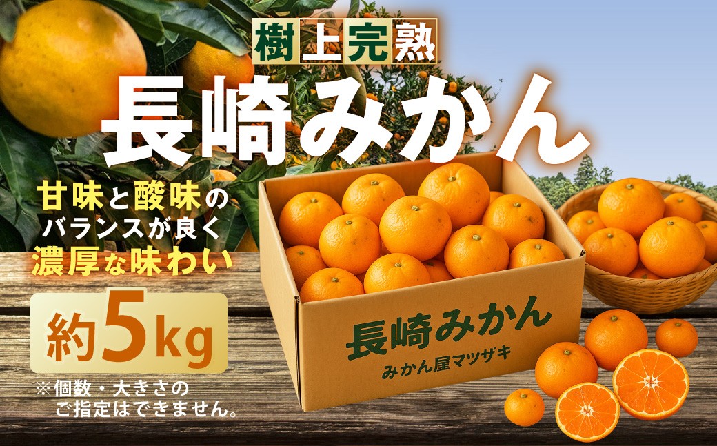 
                  ★受付期間限定★【樹上完熟】 長崎みかん （普通温州） 約5kg 温州蜜柑 温州みかん 蜜柑 みかん ミカン 果物 果実 フルーツ 完熟 長崎県 長崎市 常温 【2026年12月下旬-2027年1月下旬発送予定】
                