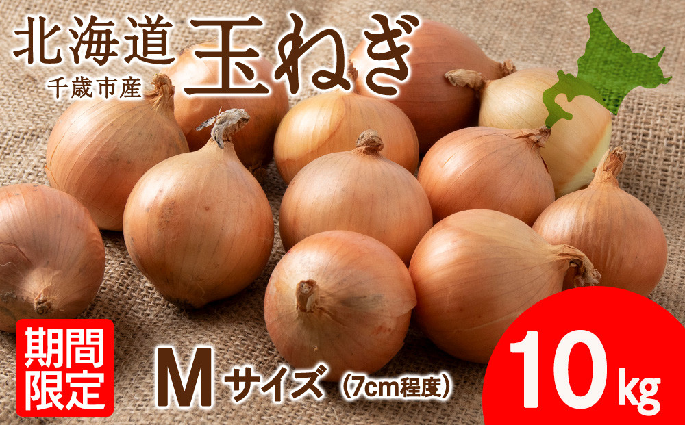 
玉ねぎ 10kg Mサイズ 北海道 千歳市産 甘い たまねぎ 野菜 冷蔵 タマネギ 【假屋フードブリッジ】
