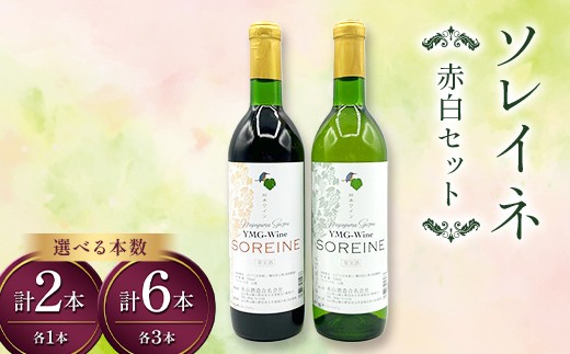 
                  【選べる本数】ソレイネ 赤白セット 720ml 各1本 各3本 ワイン 永山酒造 アルコール 酒 F6L-1381var
                