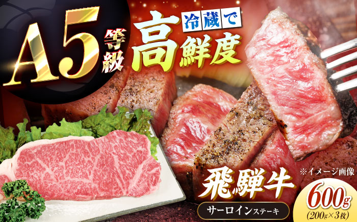 【チルド（冷蔵）発送！】 「飛騨牛」 A5等級 サーロインステーキ 200g×3枚 / 牛肉 焼肉 鉄板焼き 網焼き BBQ / 恵那市 / 東美濃農業協同組合 [AUFX012]