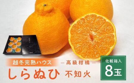 贈答用 越冬完熟ハウスしらぬひ 化粧箱8玉｜みかん 柑橘 しらぬい 不知火 しらぬい 尾道市
