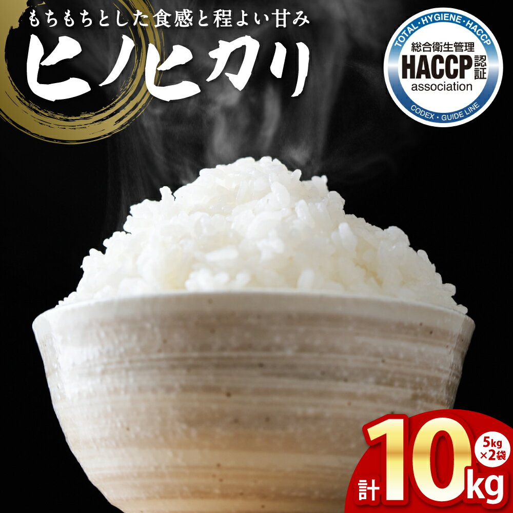 【ふるさと納税】【先行予約】《令和7年産》 ヒノヒカリ 5kg×2袋 合計10kg 熊本県産 八代市産 米 お米 新米 精米 白米 国産 送料無料 【2025年11月下旬より順次発送】