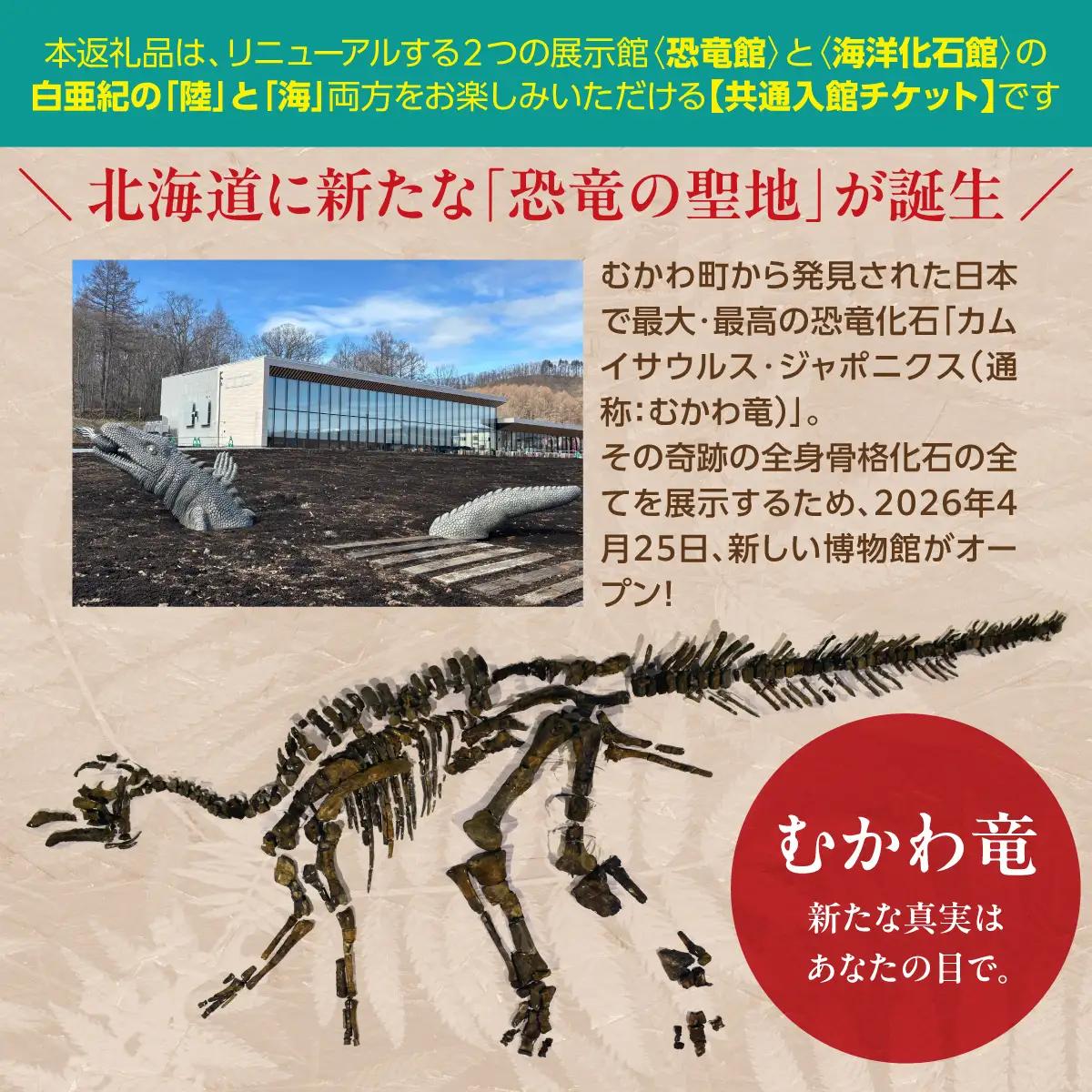 【令和8年4月25日OPEN】恐竜×海洋化石！むかわ町穂別恐竜博物館 共通入館券　大人用２枚セット MKWAM004